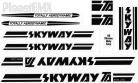 Skyway T/A decal kit IN SOLID COLORS